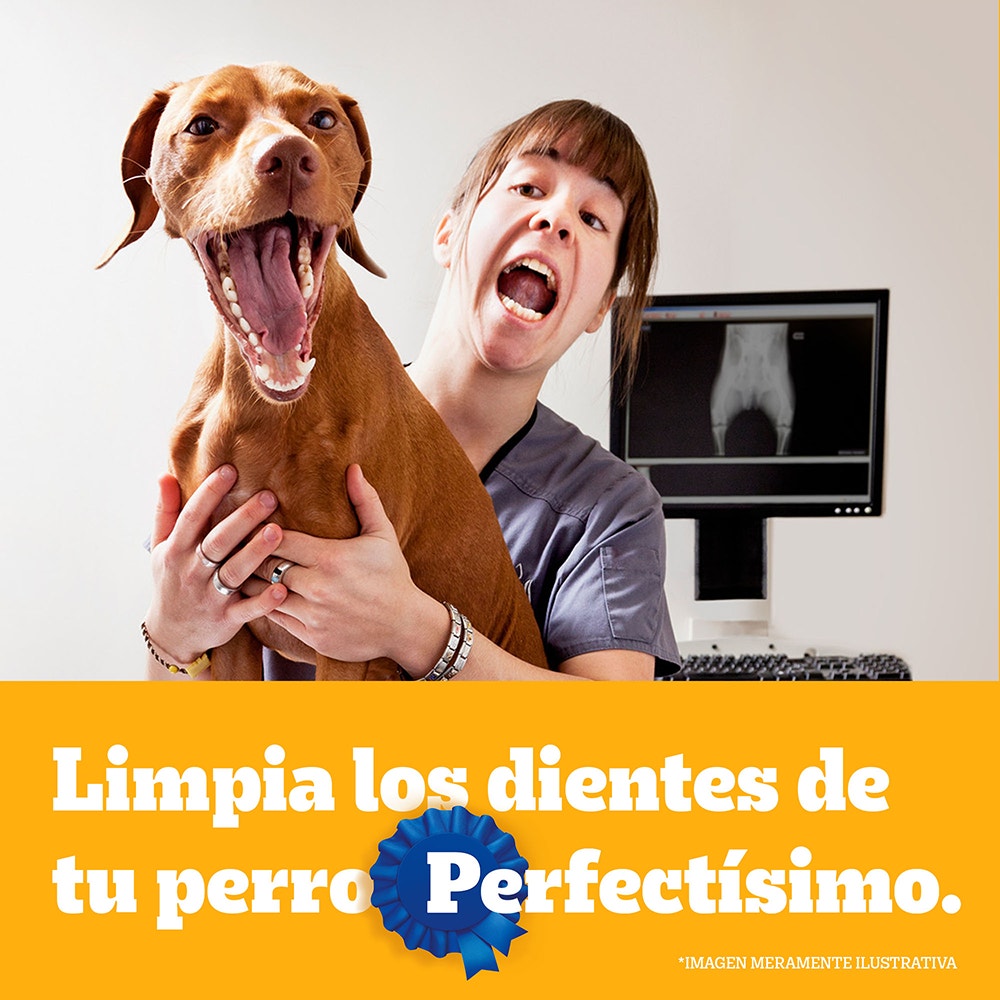 PEDIGREE® Dentastix Adulto Razas Pequeñas 15g