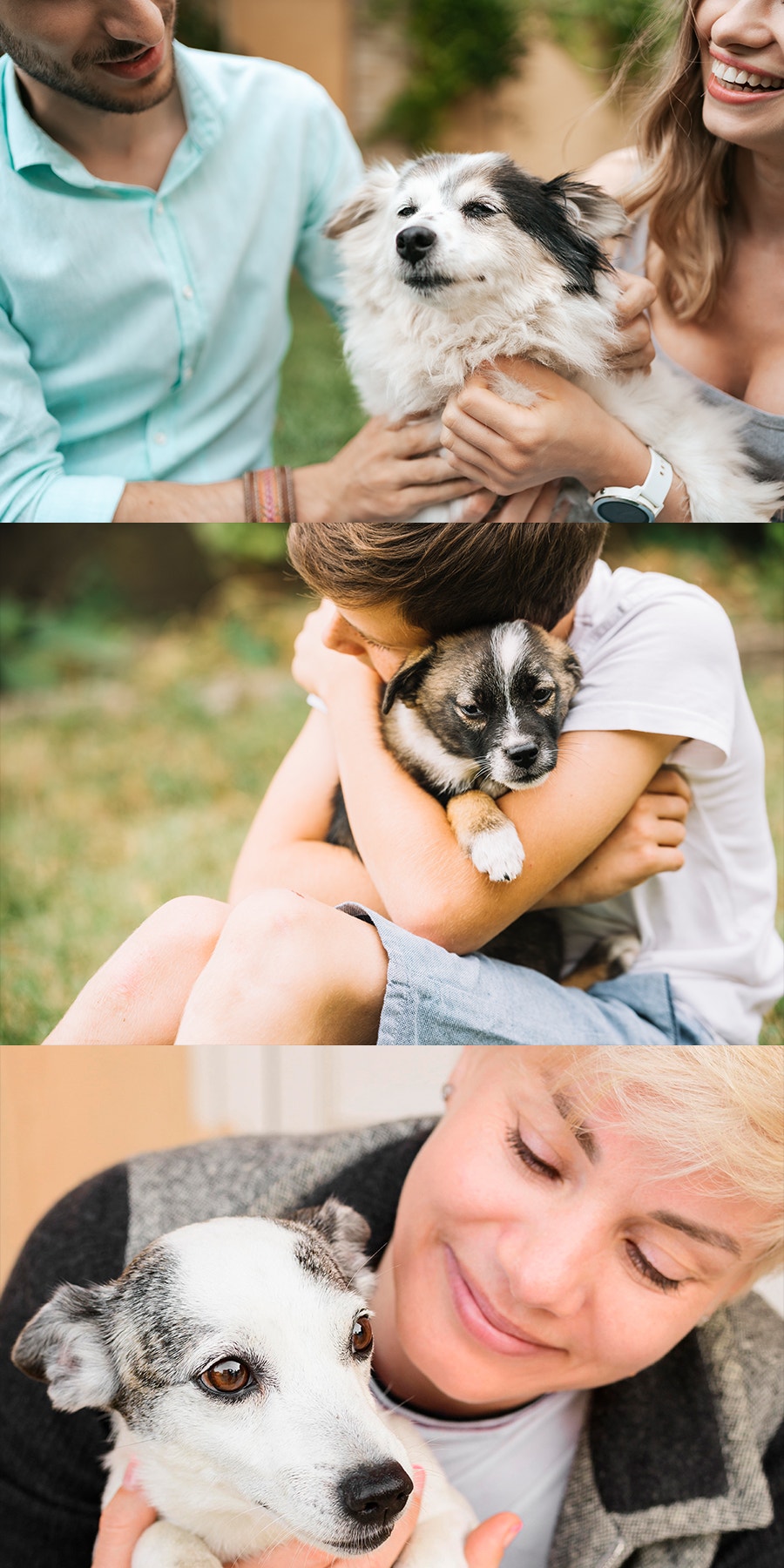 collage de fotos que muestra los beneficios físicos y mentales de adoptar un perro.