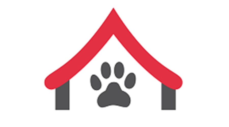 Red de Protección animal - Perros del alma