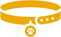 Ícono amarillo de un collar con una placa, simbolizando la importancia de identificar a tu perro.