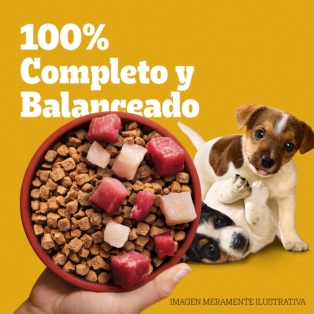 Croquetas Cachorro Razas Pequeñas Sabor Carne Y Pollo