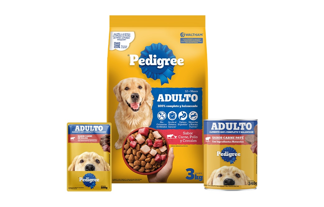 Adulto Productos
