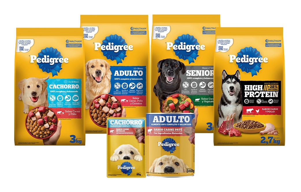 razas medianas y grandes productos