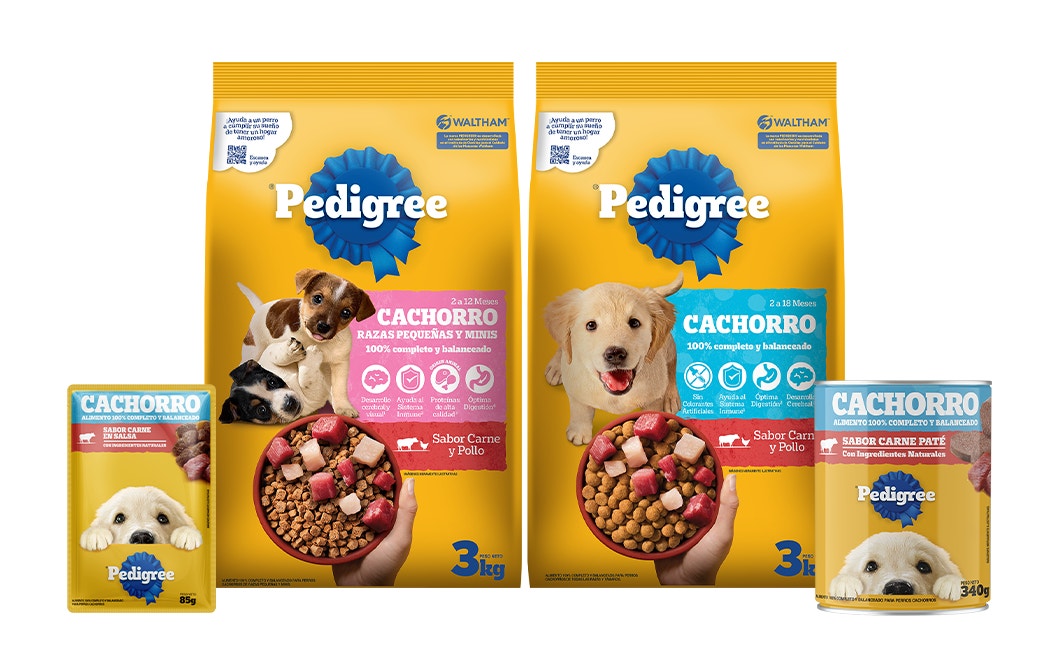 Alimento para cachorros productos