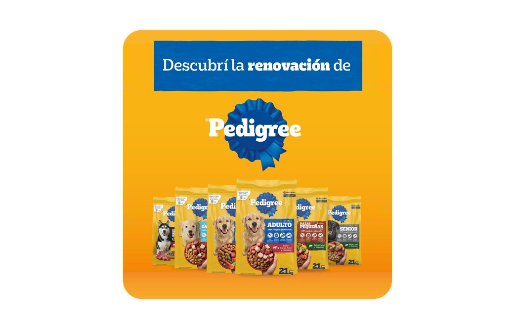 Renovación pedigree hero image