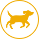 Dog Medium Icon
