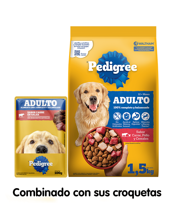 combinado con sus croquetas